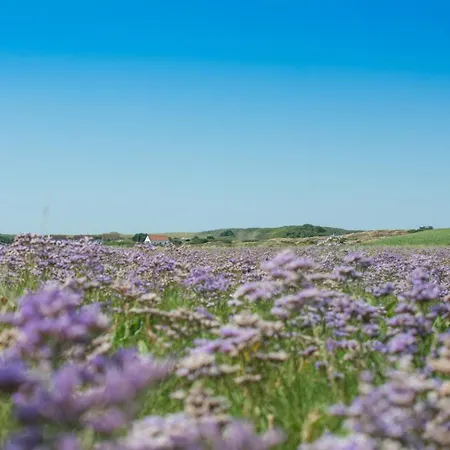 Σπίτι διακοπών Pastors Tuun Spiekeroog